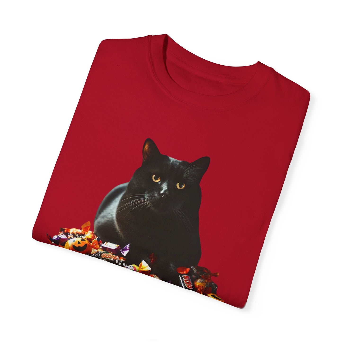 Black Cat - Unisex Garment-Dyed T-shirt