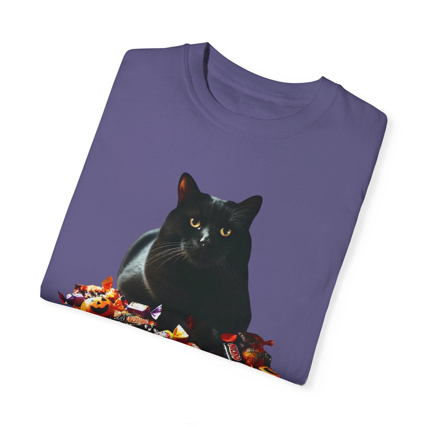 Black Cat - Unisex Garment-Dyed T-shirt
