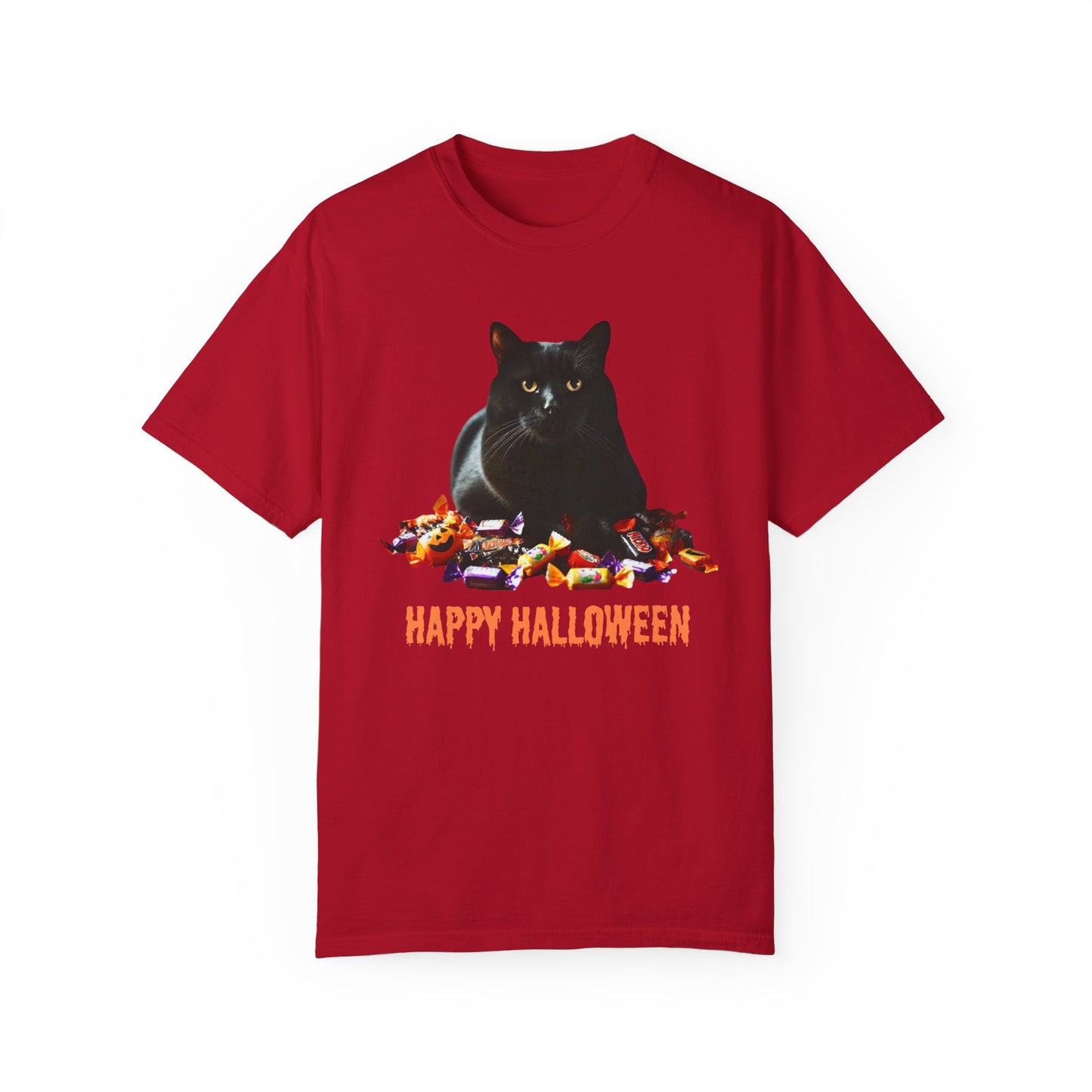 Black Cat - Unisex Garment-Dyed T-shirt